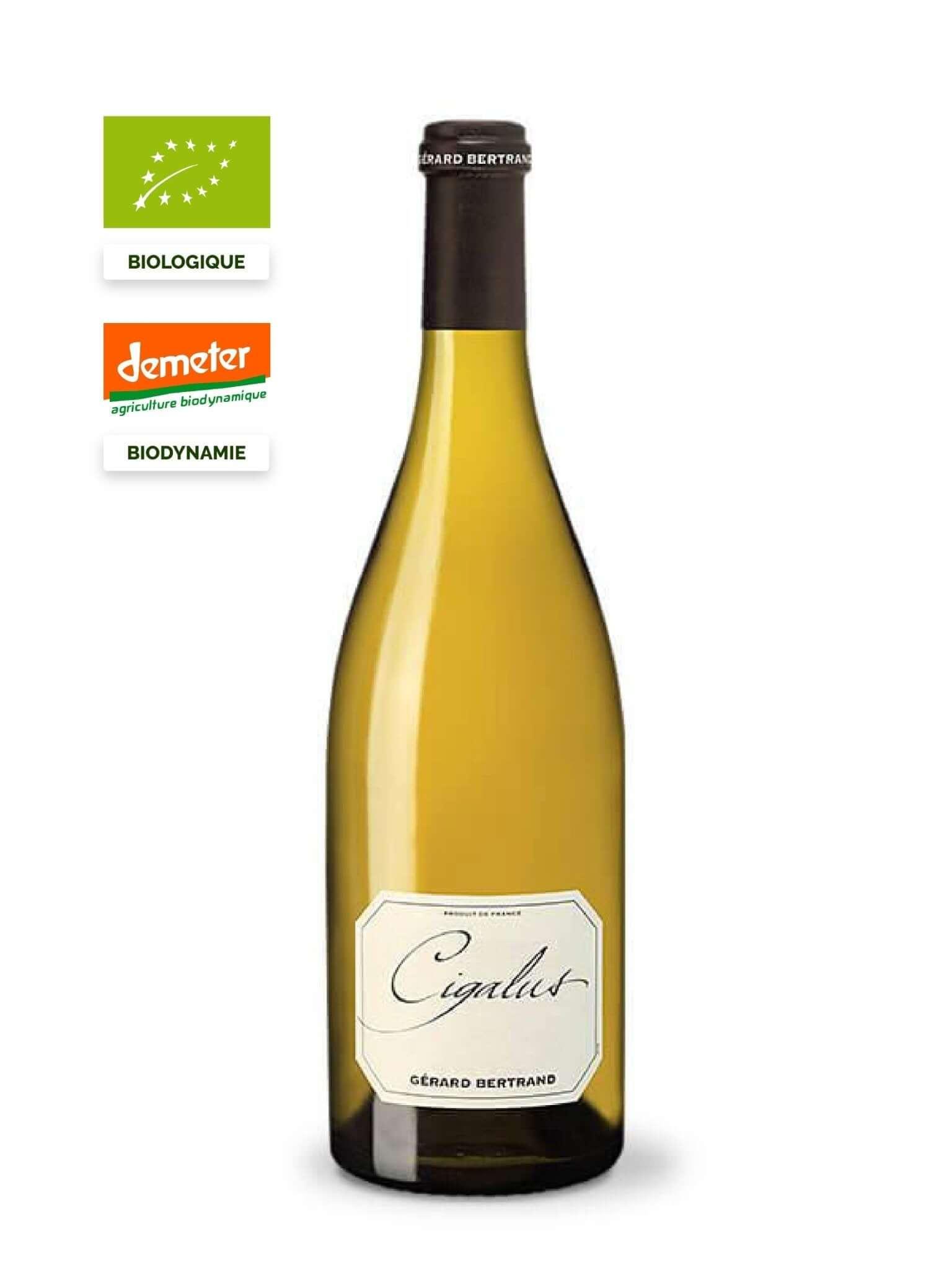 Cigalus white - Main Street Liquor