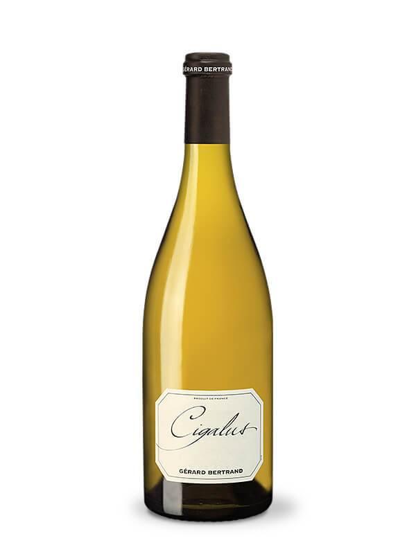 Cigalus white - Main Street Liquor
